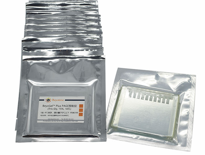 BeyoGelPlus PAGE预制胶(Tris-Gly, 15%, 10孔)