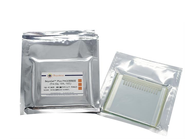 BeyoGelPlus PAGE预制胶(Tris-Gly, 15%, 15孔) - 碧云天/Beyotime