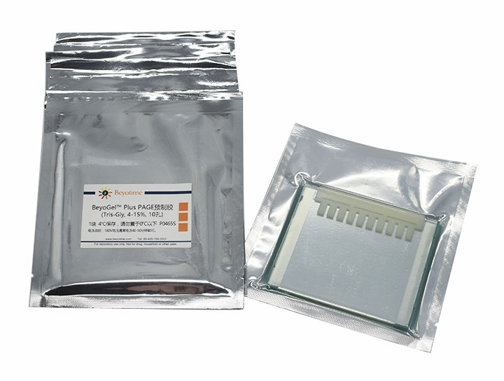 BeyoGelPlus PAGE预制胶(Tris-Gly, 4-15%, 10孔)