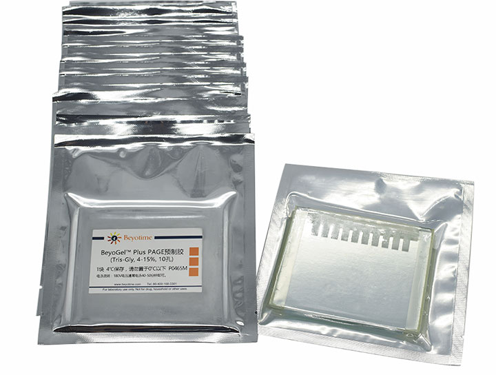 BeyoGelPlus PAGE预制胶(Tris-Gly, 4-15%, 10孔) - Beyotime/碧云天
