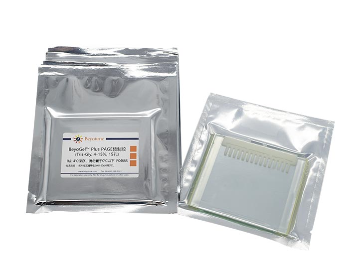 BeyoGelPlus PAGE预制胶(Tris-Gly, 4-15%, 15孔)