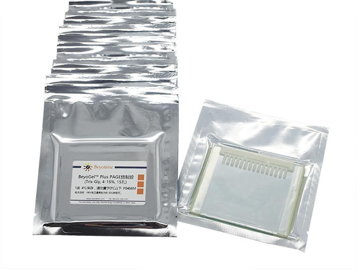 BeyoGelPlus PAGE预制胶(Tris-Gly, 4-15%, 15孔) - Beyotime/碧云天