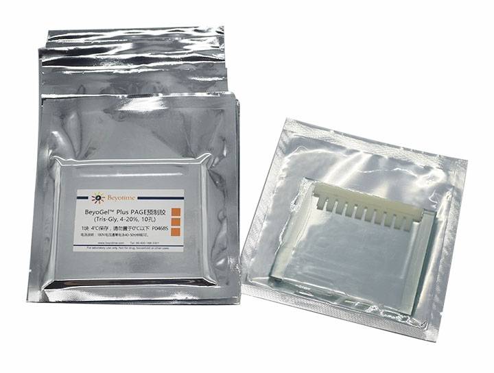 BeyoGelPlus PAGE预制胶(Tris-Gly, 4-20%, 10孔) - Beyotime/碧云天