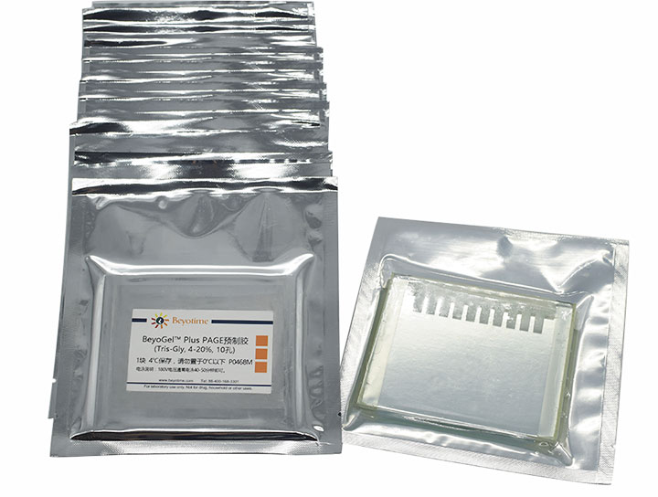 BeyoGelPlus PAGE预制胶(Tris-Gly, 4-20%, 10孔) - Beyotime/碧云天