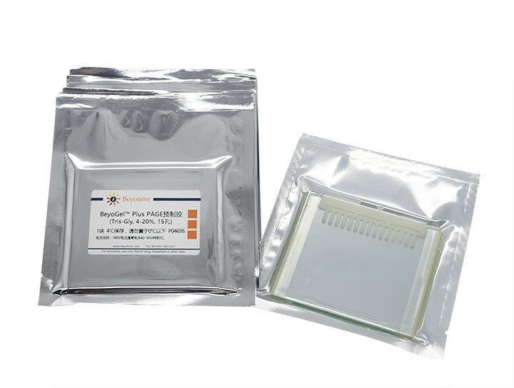 BeyoGelPlus PAGE预制胶(Tris-Gly, 4-20%, 15孔) - Beyotime/碧云天