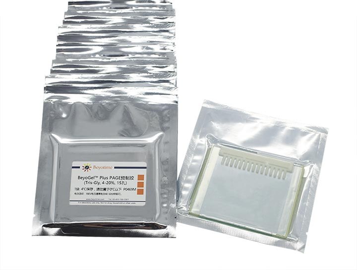 BeyoGelPlus PAGE预制胶(Tris-Gly, 4-20%, 15孔)