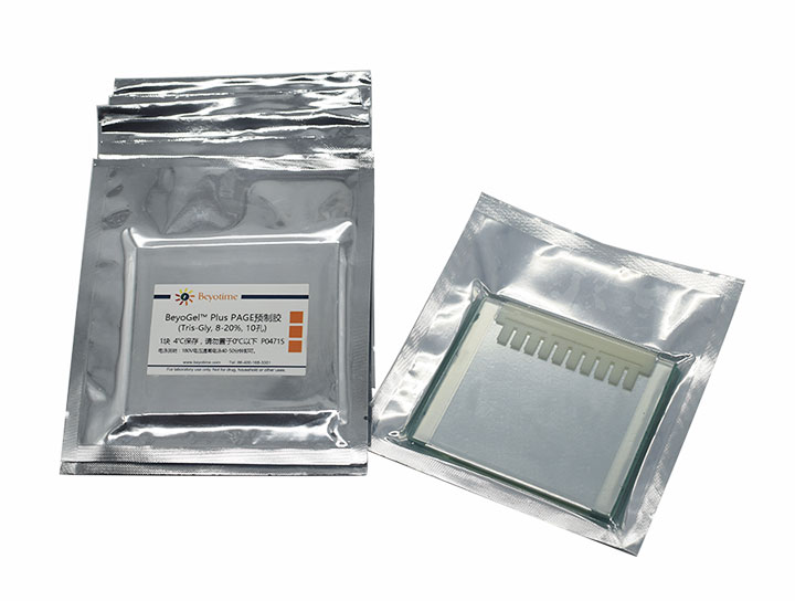 BeyoGelPlus PAGE预制胶(Tris-Gly, 8-20%, 10孔)