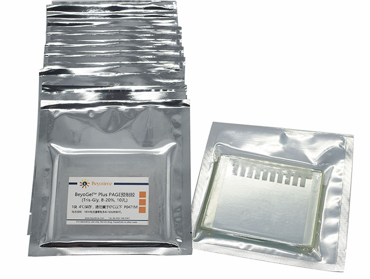 BeyoGelPlus PAGE预制胶(Tris-Gly, 8-20%, 10孔)