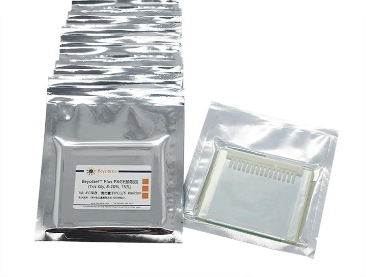 BeyoGelPlus PAGE预制胶(Tris-Gly, 8-20%, 15孔)