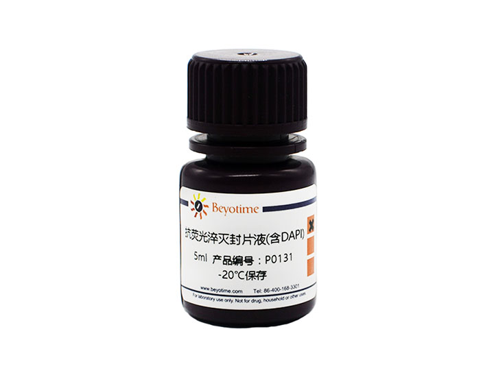 抗荧光淬灭封片液(含DAPI)