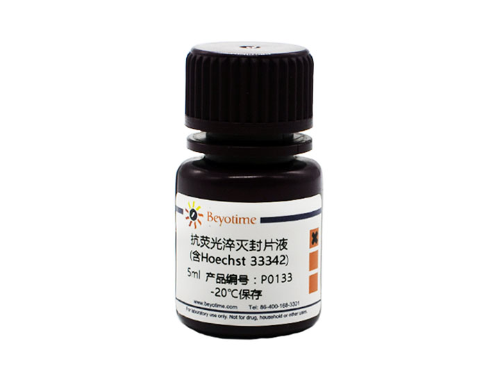 抗荧光淬灭封片液(含Hoechst 33342)