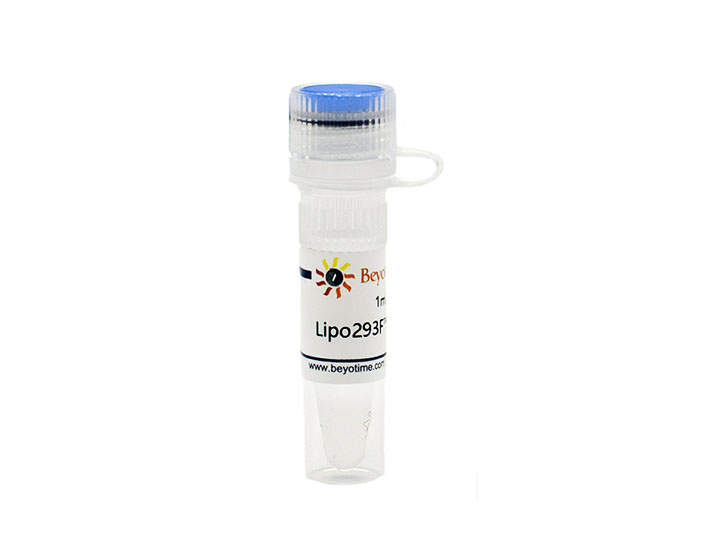 Lipo293F转染试剂 - Beyotime/碧云天