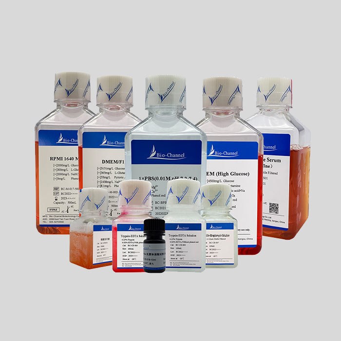 特级胎牛血清 Fetal Bovine Serum(Superfine) - Biochannel/生航