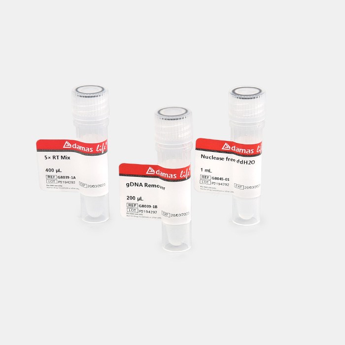 逆转录试剂盒 (with gDNA Remover) - Adamas life