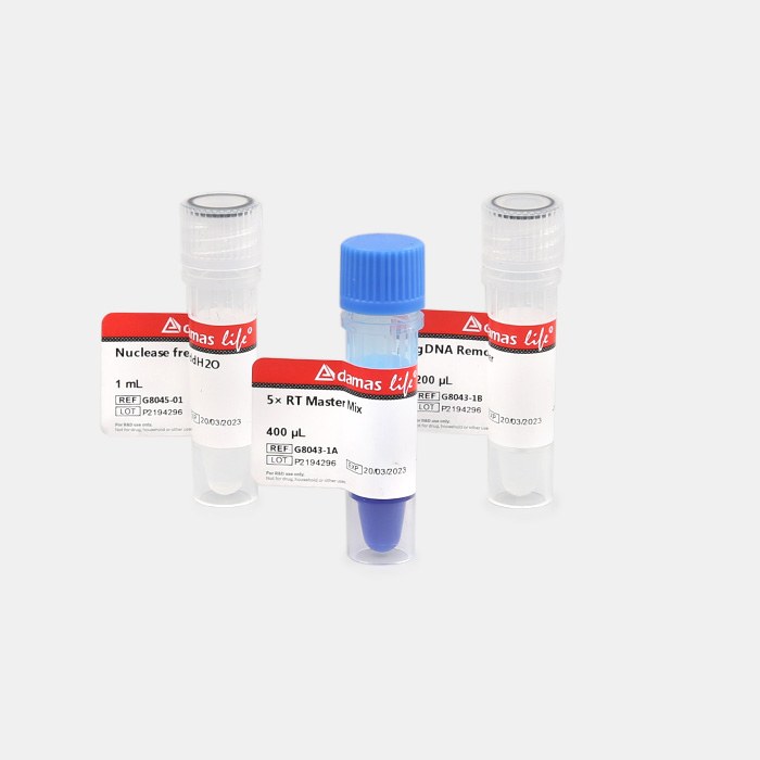 彩色逆转录试剂盒（带gDNA Remover）