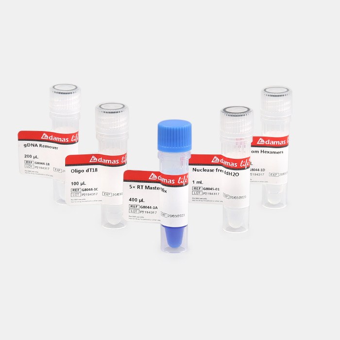 彩色逆转录试剂盒（带gDNA Remover，引物独立包装） - Adamas life