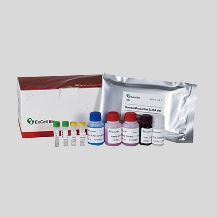 Mouse Insulin ELISA Kit(试剂盒)