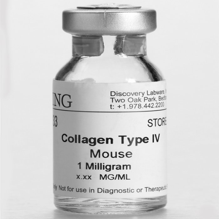 Corning IV型胶原蛋白，小鼠，Collagen IV, Mouse(354233)