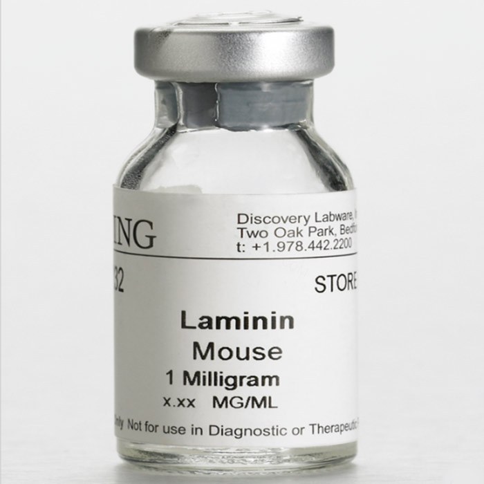 Corning 超纯层粘连蛋白，小鼠，Ultrapure Laminin，Mouse(354239)