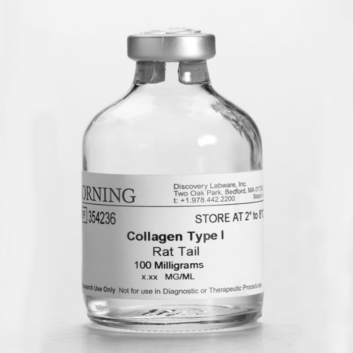 Corning IV型胶原蛋白，人，Collagen IV, Human(354245)