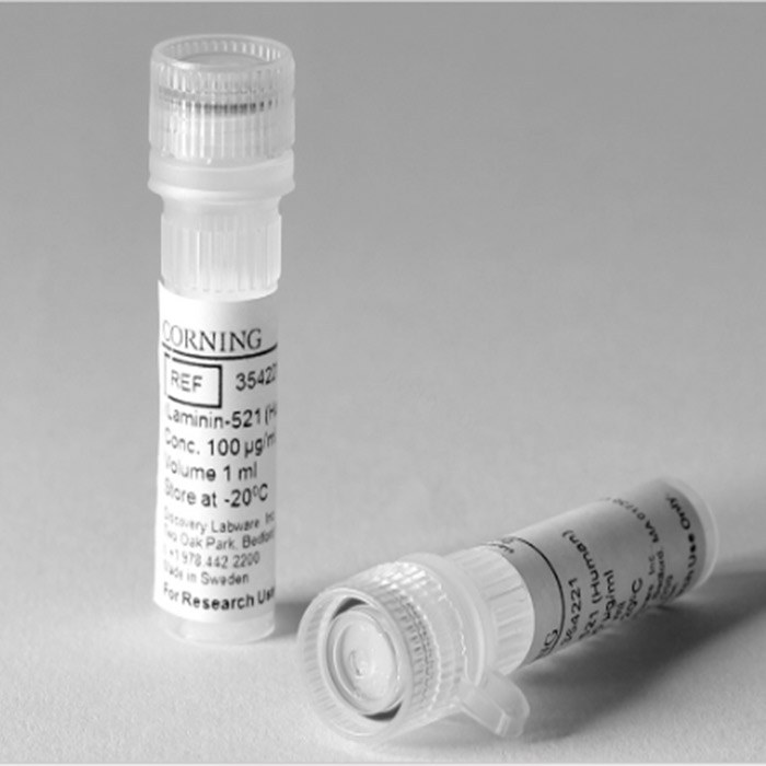 Corning rLaminin-521重组蛋白，人，(354224)