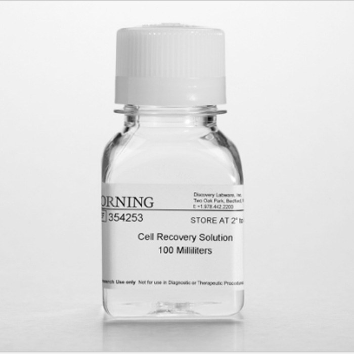 Corning Cell Recovery Solution，细胞回收液(354270)
