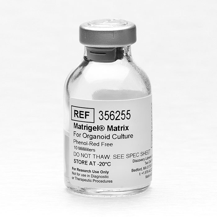 Corning Matrigel 基质胶，类器官专用型，无酚红(356255)