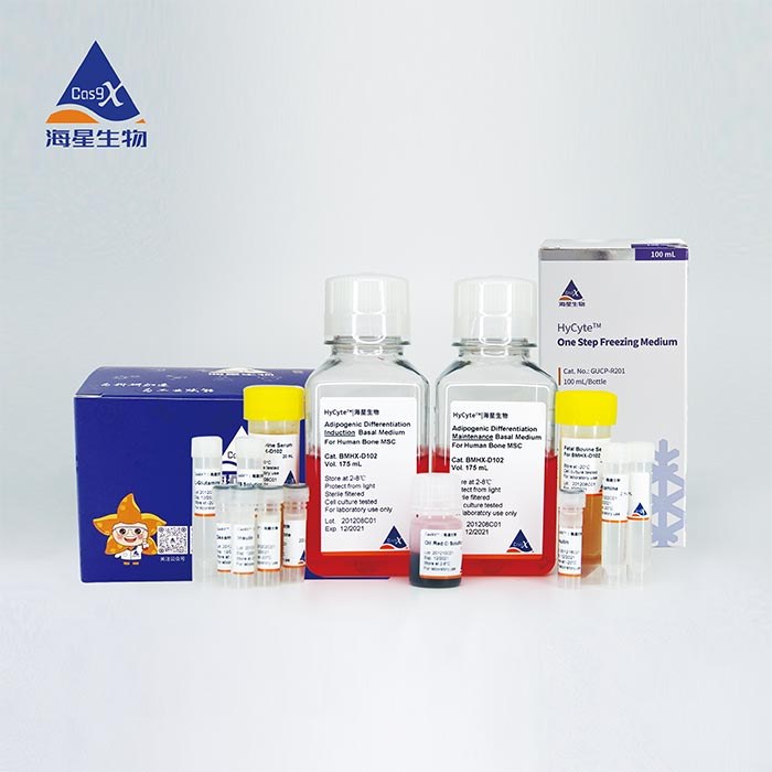 HyCyte 成人脂肪间充质干细胞成软骨诱导分化培养基