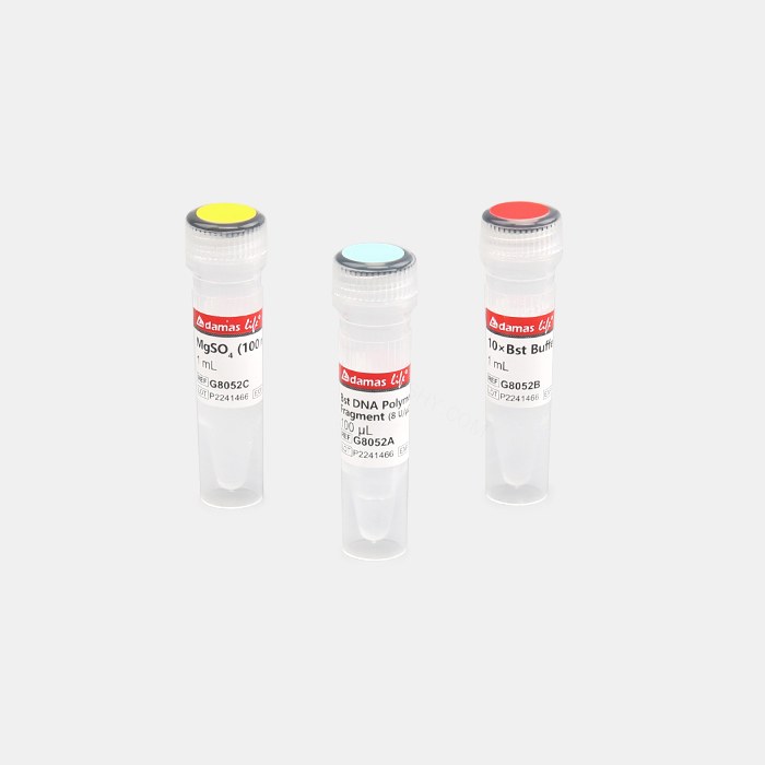 Bst DNA 聚合酶大片段