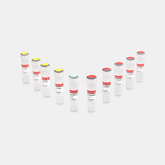 Taq DNA 聚合酶 (不含Mg2+ )