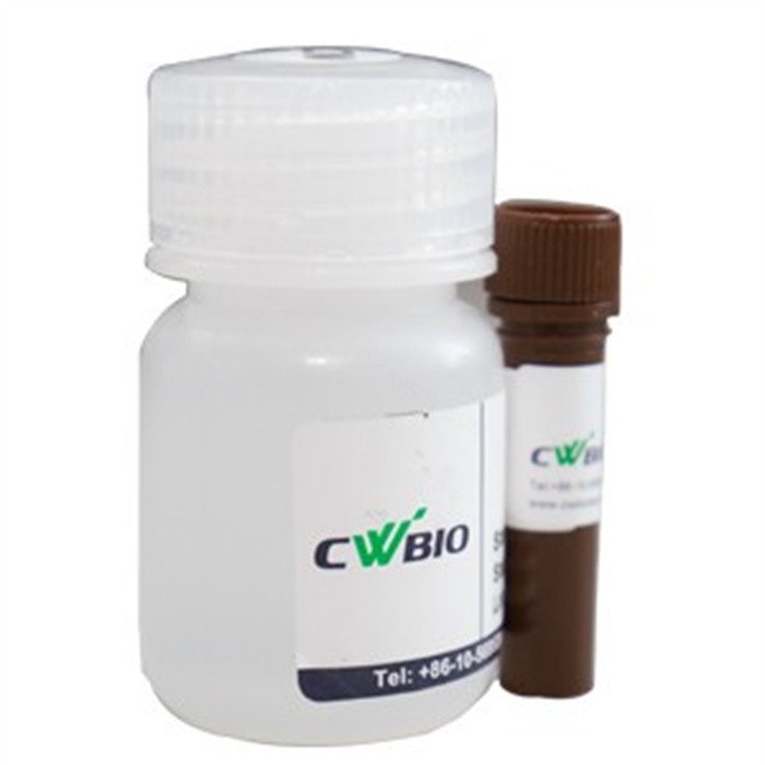 Super-Bradford Protein Assay Kit 试剂盒