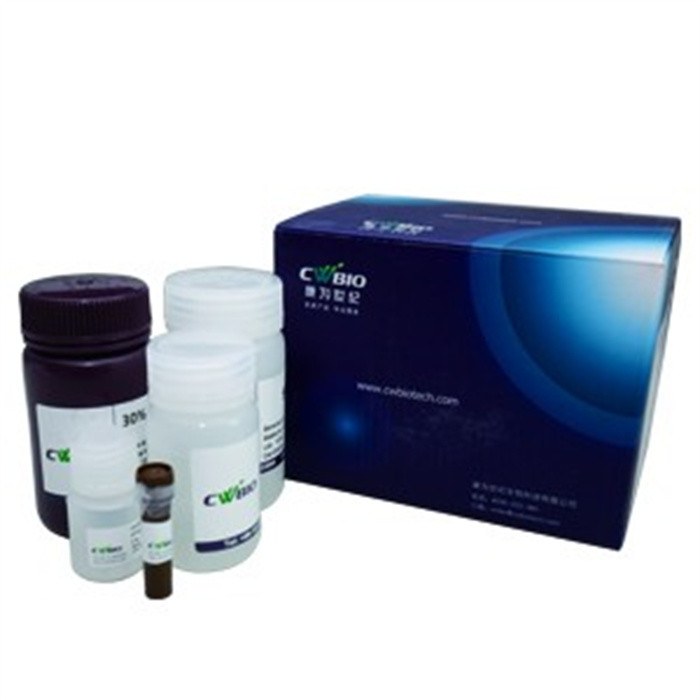 SDS-PAGE Gel Kit 试剂盒