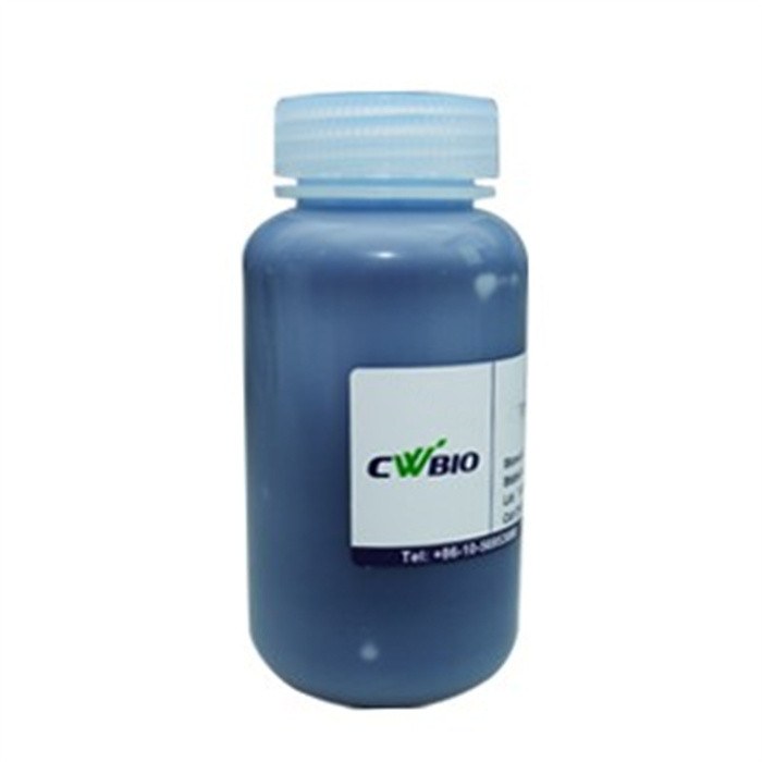 ProteinShow-G250 Protein Stain Reagent试剂