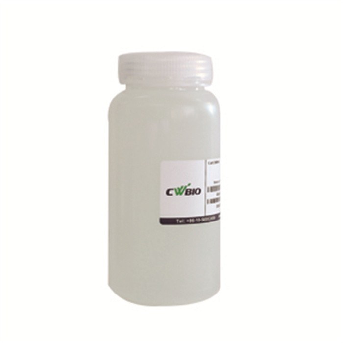 SDS-PAGE Separating Gel Buffer (4×)试剂