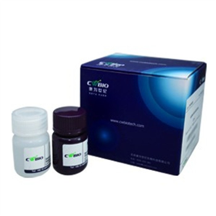 eECL Western Blot Kit 试剂盒
