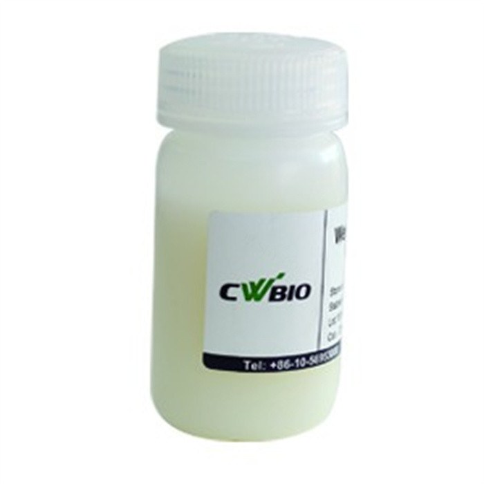 BSA Blocking Buffer试剂 - Cwbio/康为世纪