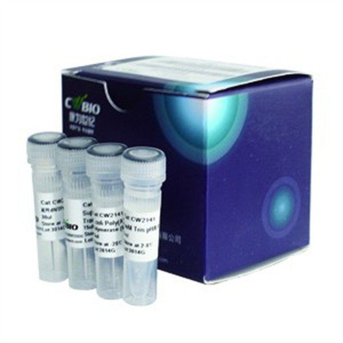 SuperRT cDNA Synthesis Kit 试剂盒