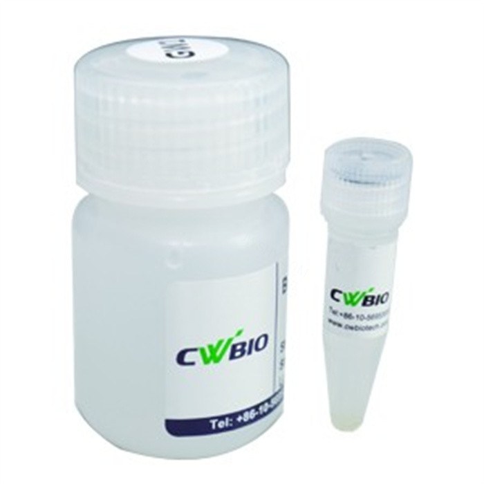 Tissue Protein Extraction Kit 试剂盒 - Cwbio/康为世纪