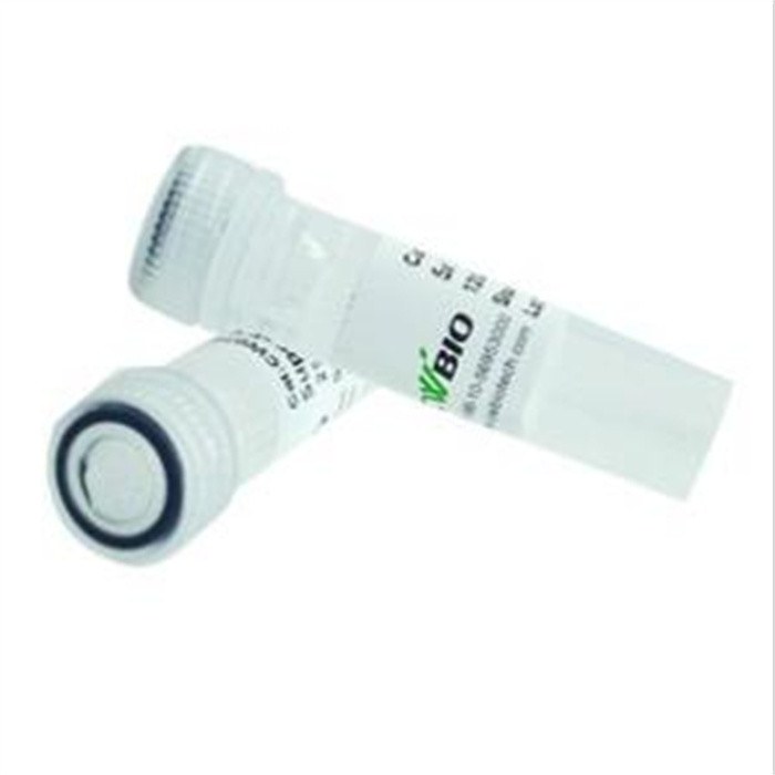 HiFiScript gDNA Removal RT MasterMix试剂