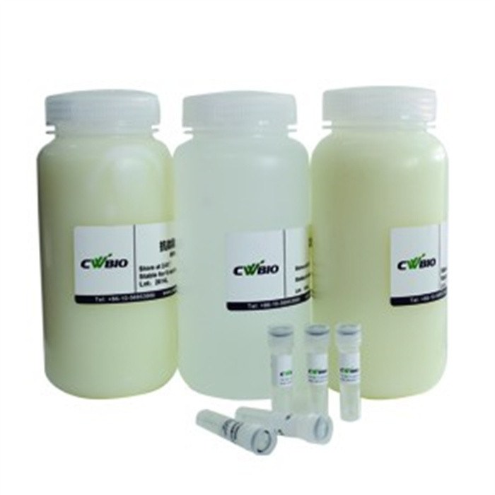 One Step Western Kit 试剂盒 HRP (Mouse) - Cwbio/康为世纪
