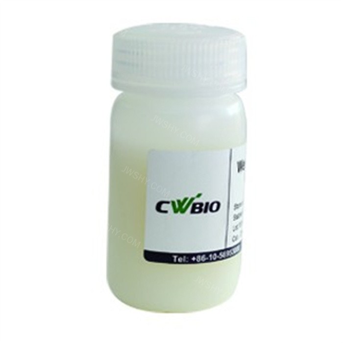 One Step Western Blocking Buffer试剂 - Cwbio/康为世纪