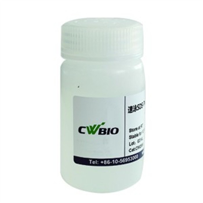 Fast SDS-PAGE Running Buffer (10×)试剂 - Cwbio/康为世纪