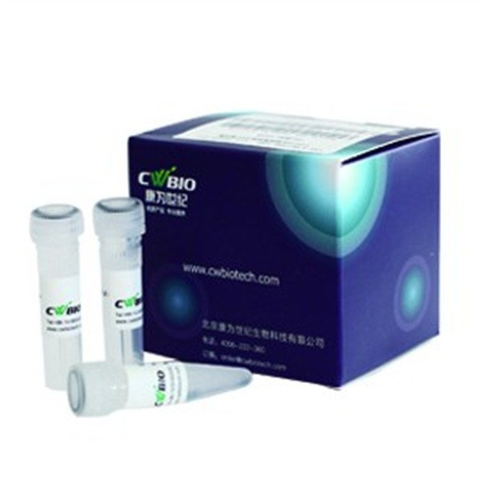 Quick DNA Ligation Kit 试剂盒