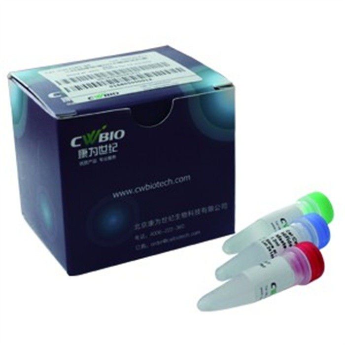 NGS Fast DNA Library Prep Set for Ion Torrent试剂