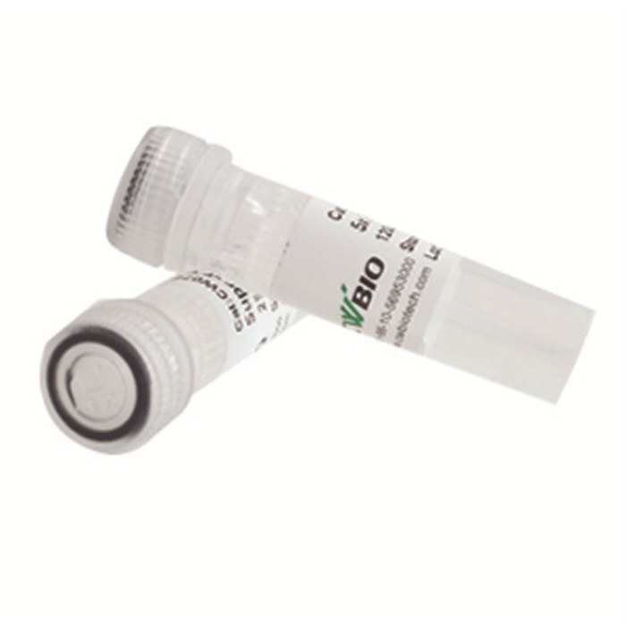 HiFi PCR Mix for NGS试剂