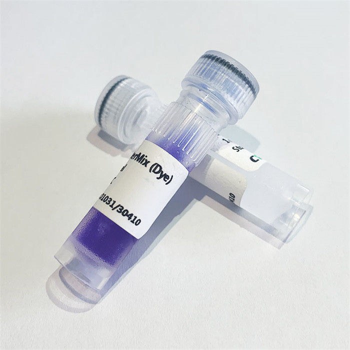 2&times;Flash PCR MasterMix (Dye)试剂