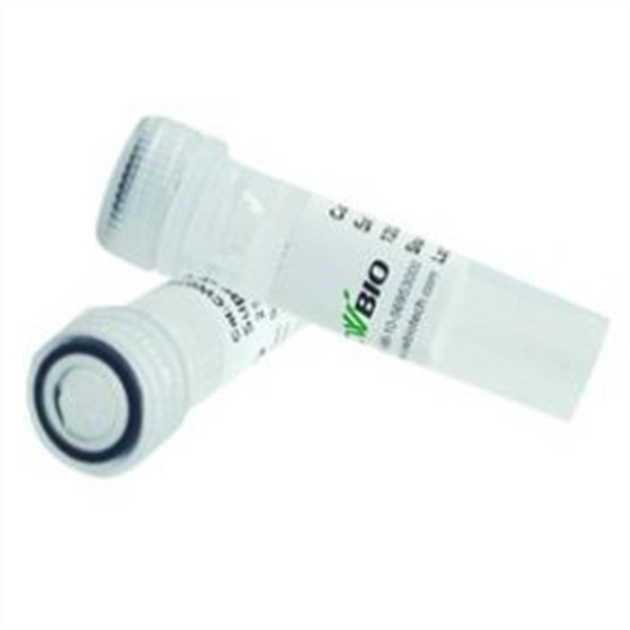 One Step Seamless Cloning Mix试剂