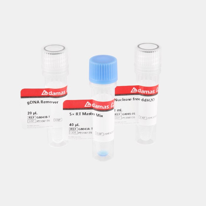 彩色逆转录试剂盒 (with gDNA Remover) - Adamas life