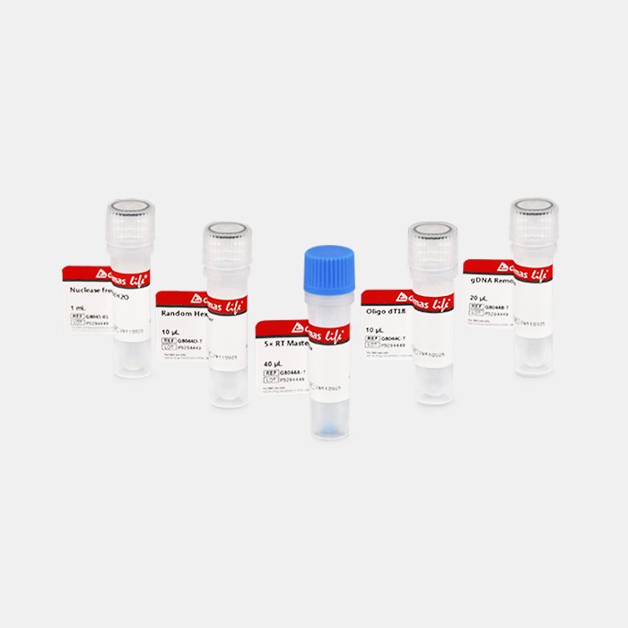 彩色逆转录试剂盒 (with gDNA Remover, 引物独立包装)