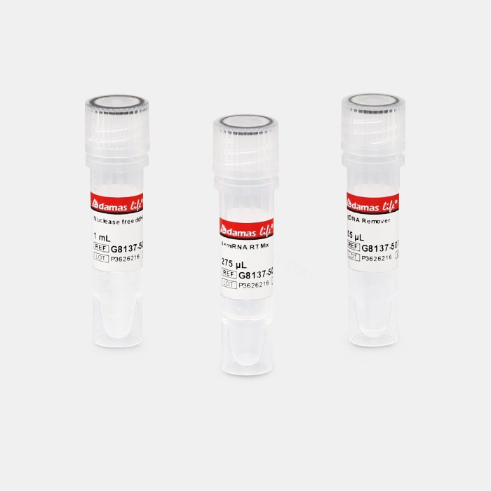 MicroRNA逆转录试剂盒 (茎环法)